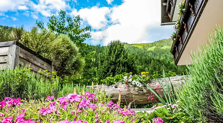 Holiday home in Donnersbachwald