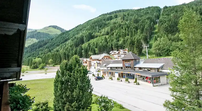 Holiday home in Donnersbachwald