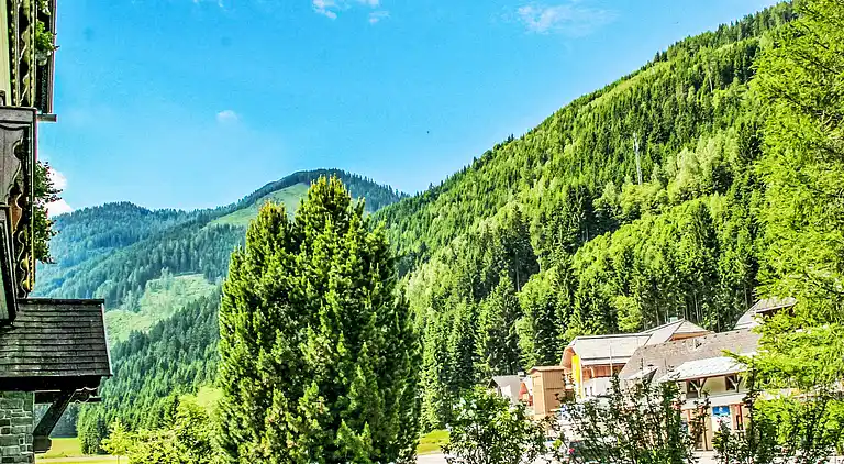 Maison de vacances en Donnersbachwald