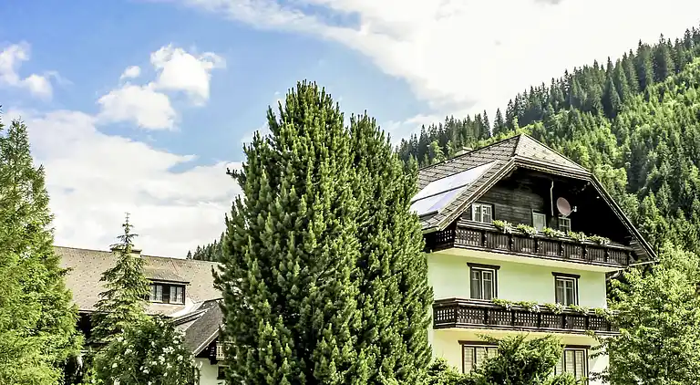 Maison de vacances en Donnersbachwald