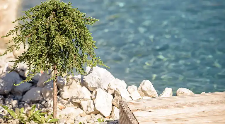 Vacation home in Kranzbach