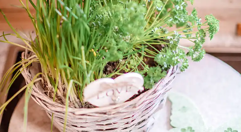 Vacation home in Gersdorf