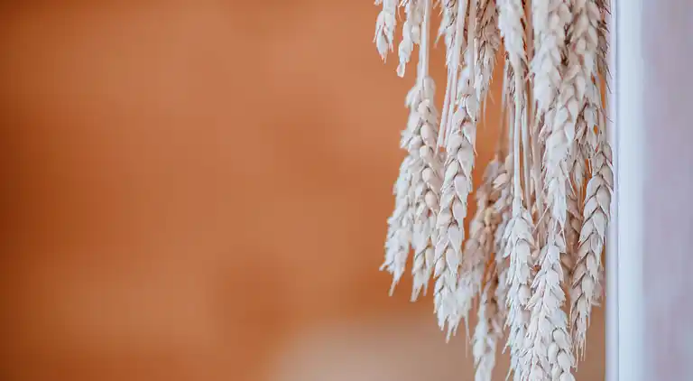 Vacation home in Gersdorf