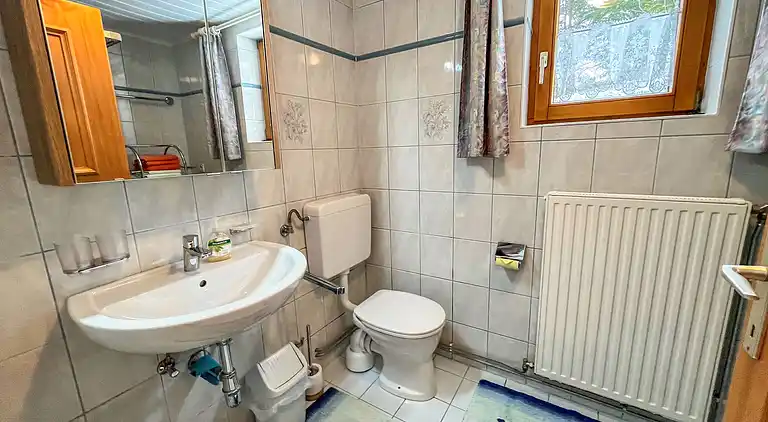 Feriebolig i Diemlern