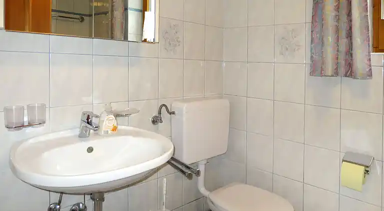 Feriebolig i Diemlern