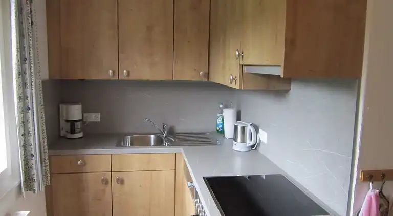 Feriebolig i Diemlern