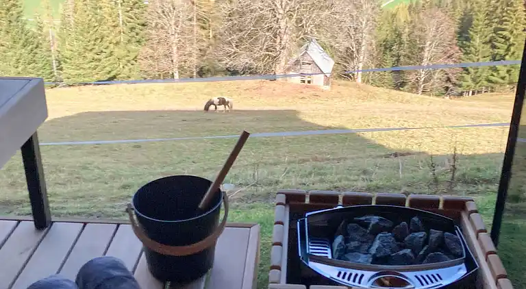 Feriebolig i Rohrmoos-Untertal