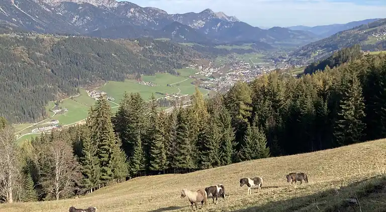 Feriebolig i Rohrmoos-Untertal