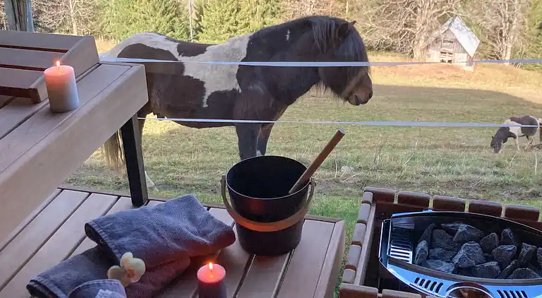 Feriebolig i Rohrmoos-Untertal