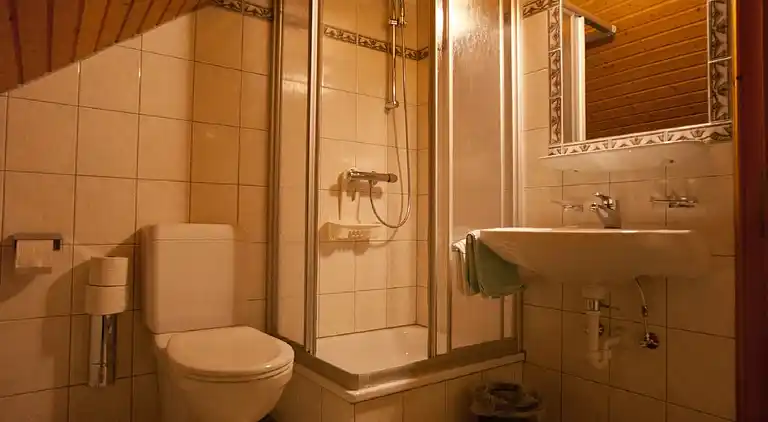 Holiday home in Ramsau am Dachstein