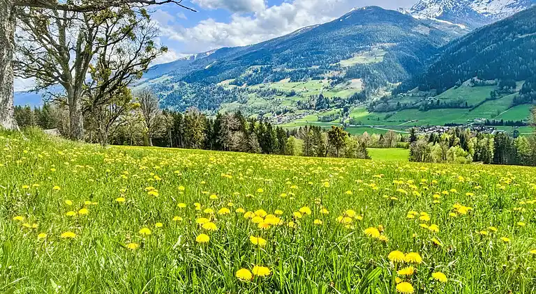 Holiday home in Ramsau am Dachstein