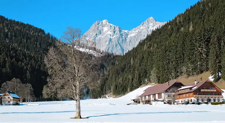 Holiday home in Ramsau am Dachstein