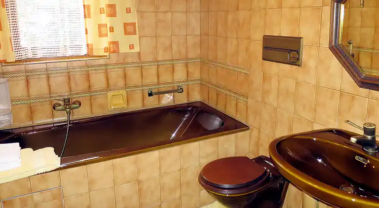 Feriebolig i Ramsau am Dachstein