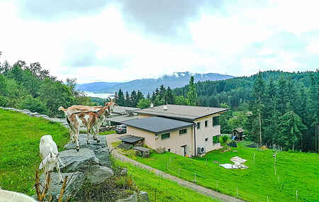 Villa au Techelsberg