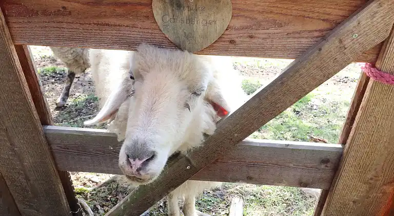 Semesterbostad i Rajach