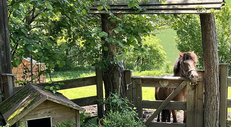 Semesterbostad i Rajach