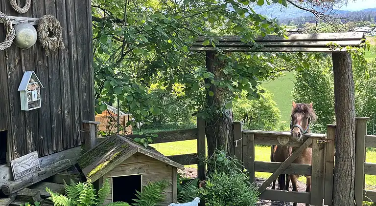 Semesterbostad i Rajach