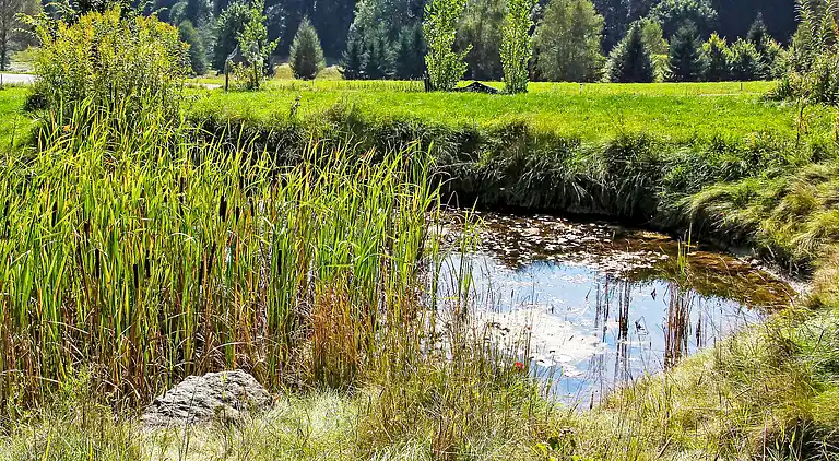 Semesterbostad i Velden am Wörthersee