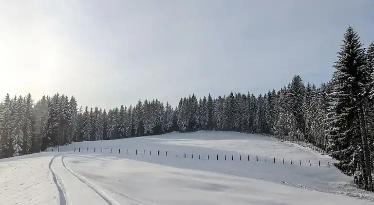 Feriebolig i Wolfsberg