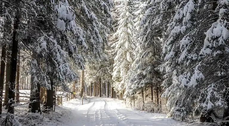 Feriebolig i Wolfsberg
