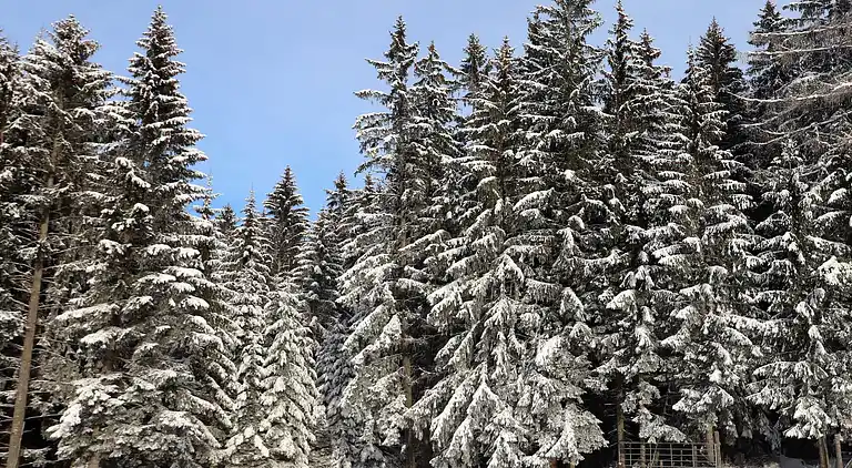 Feriebolig i Wolfsberg