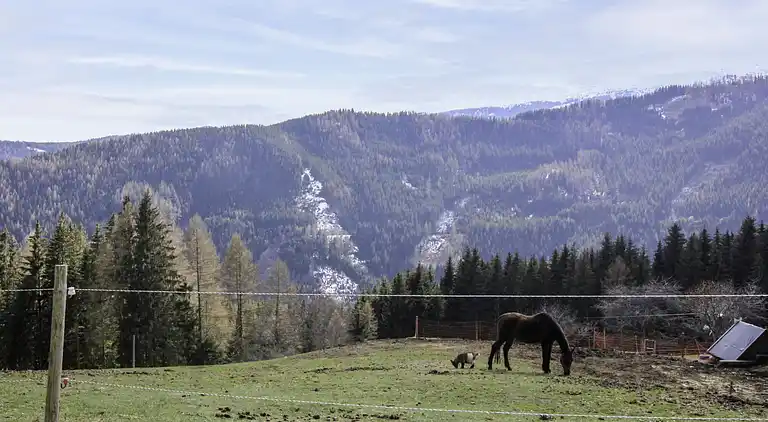 Holiday home in Wolfsberg