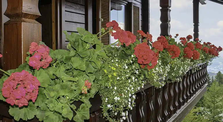 Vacation home in Himmelberg