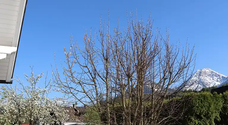 Feriebolig i Finkenstein am Faaker See