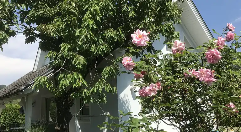 Feriebolig i Finkenstein am Faaker See