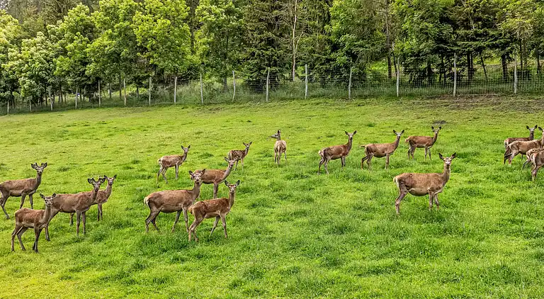 Holiday home in Heiligenblut am Großglockner
