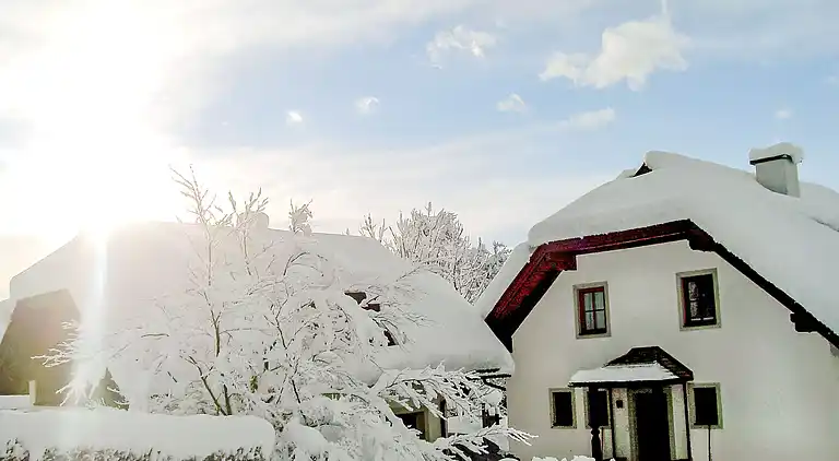 Casa de vacaciones en Treffling
