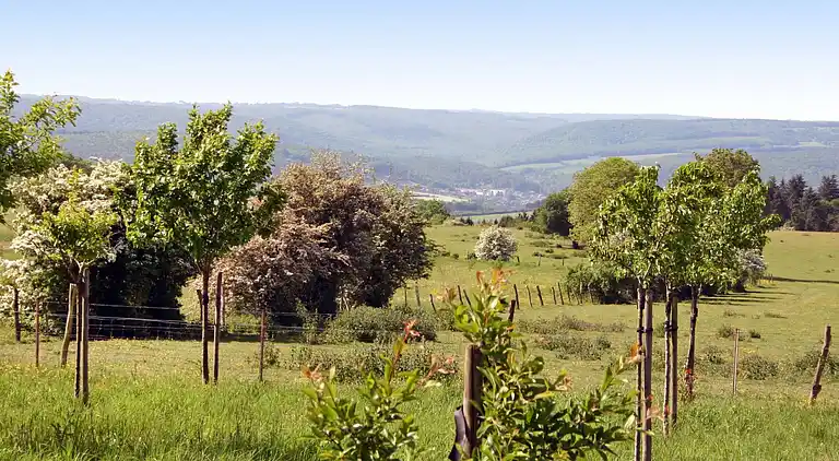 Feriebolig i Mesnil-Saint-Blaise