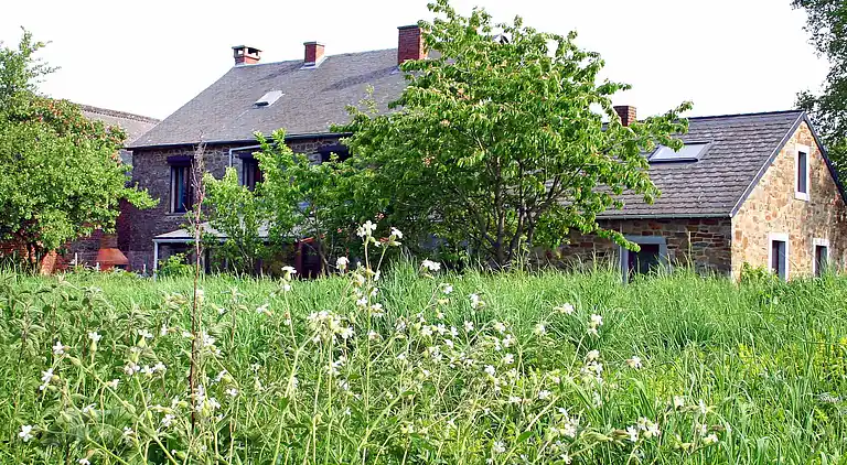 Feriebolig i Mesnil-Saint-Blaise