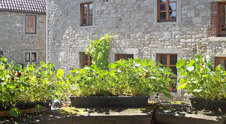 Feriebolig i Florennes