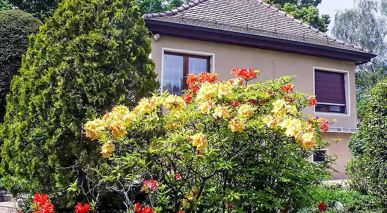 Holiday home in Genthod