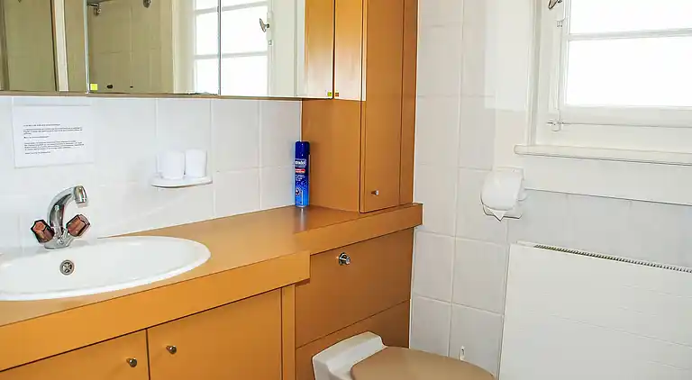 Holiday home in Genthod