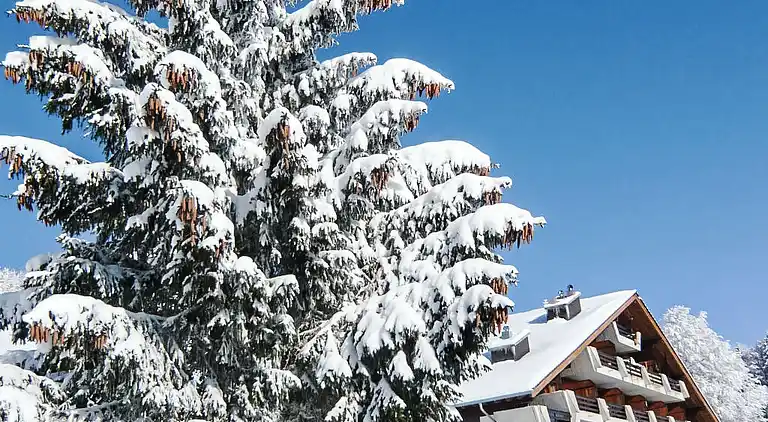 Holiday home in Sainte-Croix