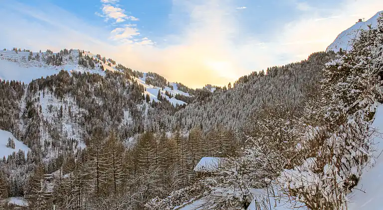 Feriebolig i Gruyères