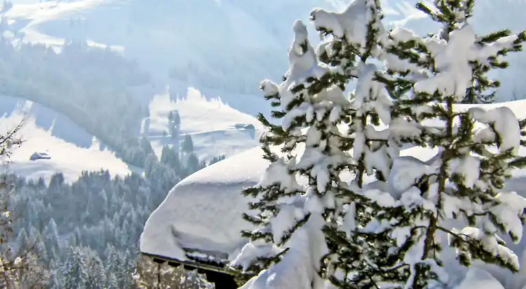 Feriebolig i Gruyères