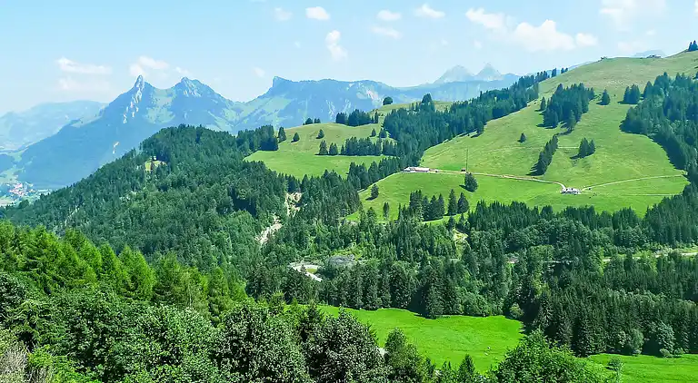 Holiday home in Gruyères