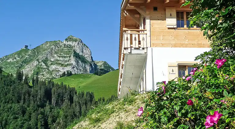 Holiday home in Gruyères