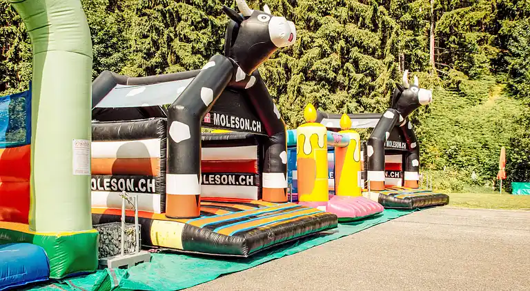 Holiday home in Gruyères