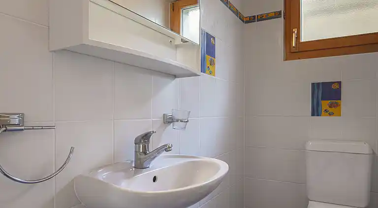 Holiday home in Val-d'Illiez