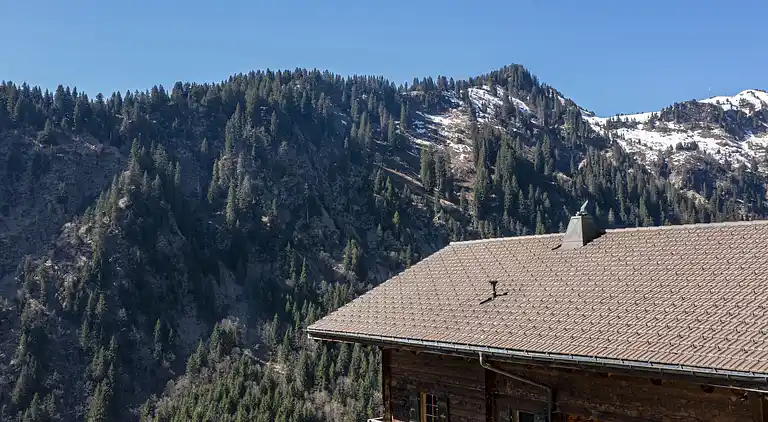 Holiday home in Val-d'Illiez