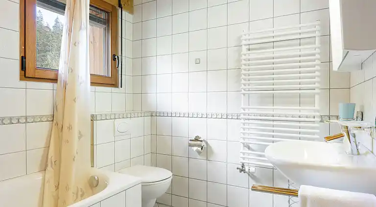 Holiday home in Val-d'Illiez