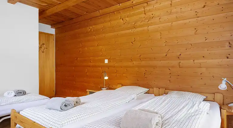 Holiday home in Val-d'Illiez