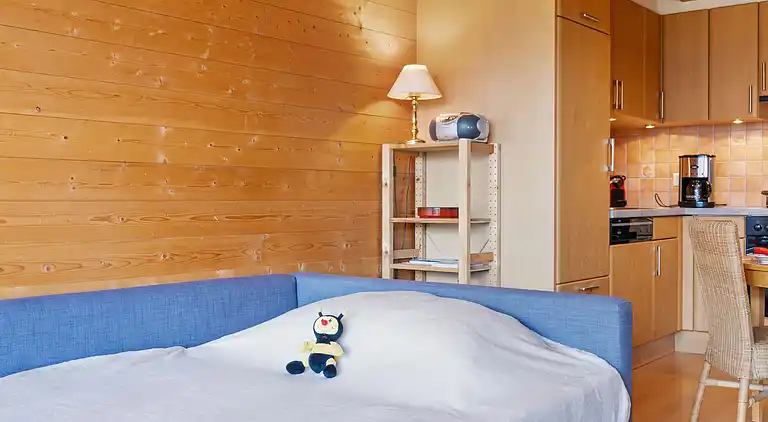 Holiday home in Val-d'Illiez