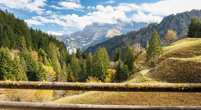 Holiday home in Val-d'Illiez