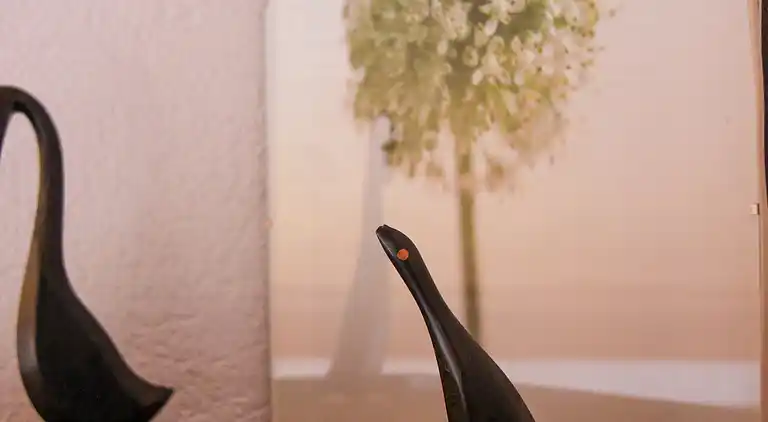 Feriebolig i Chesières