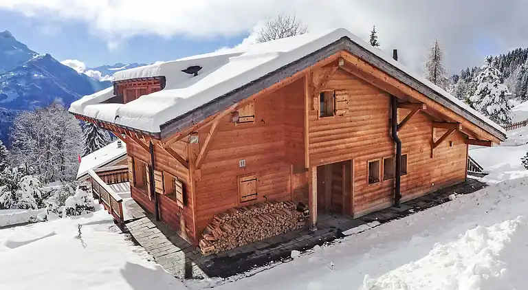 Holiday home in Ollon